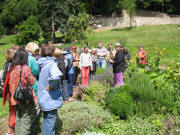 Kr�utervormittag am 12.7.2007 im Kr�utergarten hinter der Kartaus