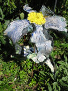 Sonnenblume aus Keramik am 26.7.2007