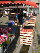 Erdbeeren auf dem Bächle am 5.6.2007 auf dem Münstermarkt