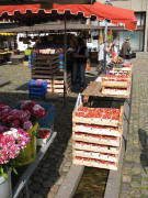 Erdbeeren auf dem B�chle am 5.6.2007 auf dem M�nstermarkt