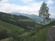 lick nach S�dwesten �ber den Oberhof ins Weilersbach am 3.6.2007