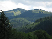 Blick vom W�lflesberg oberhalb Himmelreich nach Osten zu H�usleberg und H�fener H�tte am 22.6.2007