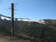 Blick nach S�den hoch zur H�fener H�tte sowie H�usleberg rechts 