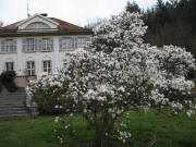 Blick nach Nordwesten zur Villa Mez in Ebnet am 17.3.2007