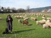 Sch�fer Andreas aus Eschbach am 22.2.2007 an der Dreisam zwischen Littenweiler und Ebnet