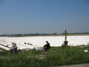 Blick nach S�dwesten bei Eschbach am 6.5.2007: Spargel, Wegkreuz und TREA im Hintergrund