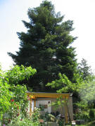 Blick nach Osten am 21.5.2007