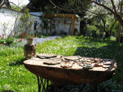 1.Mai 2009: Vergi�meinnicht, L�wenzahn, Keramik und Sonne