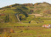 Tele-Blick nach Norden zum Achkarrer Schlossberg am 5.11.2007