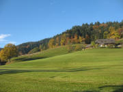 Blick nach Südwesten am 3.11.2007 zu Berglehof und Schafherde