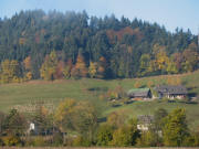 Tele-Blick von der Erzwäscherei nach Westen zum Berglehof am 3.11.2007 und der Schafherde links