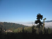 Blick von der Erzwscherei nach Westen ber Kappel ins neblige Littenweiler am 3.11.2007