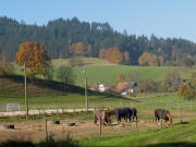 Tele-Blick vom Schütterlehof nach Süden auf Fischbach am 3.11.2007