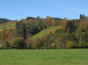 Blick vom K�chlehof nach Westen zu Gost und Immi (rechts) am 31.10.2007