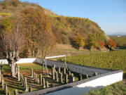 Jüdischer Friedhof Ihringen am 5.11.2007 - Blick nach Südosten