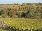 Blick nach Nordosten zum Tuniberg bei Merdingen - Gewann B�hl - am 5.11.2007