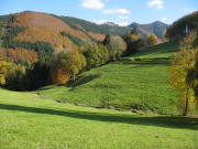 Blick von der Immi V�rlinsbach �bers Zastlertal zum Hinterwaldkopf am 31.10.2007