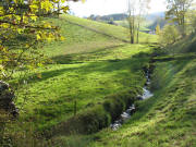Blick nach S�den hoch zum Altenvogshof am 31.10.2007 um 14 Uhr