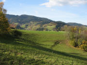 Blick nach Westen �ber die Immi zwischen Zastlertal und V�rlinsbach hoch zum Rappeneck am 31.10.2007