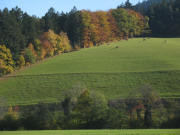Tele-Blick nach Osten zum Hang des St.Johannisbergs n�rdlich vom Hannisenhof am 31.10.2007 