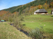 Blick nach Nordwesten am 31.10.2007 zum Glaserhansenhof