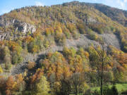 Blick von der Stollenbachstrasse nach Norden am 31.10.2007 zum Scheibenfelsen
