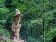 Zauberer-M�nnle Herbst 2006 auf dem Baumstumpf der Wei�tanne im Stiftungswald zwischen Ebnet und Ro�kopf