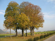 Blick nach Nordosten zum Anna-Kreuz am 27.10.2007