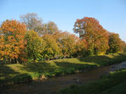 Blick nach Nordosten über die Dreisam zum Park des Ebneter Schlosses am 16.10.2007  Goldener Herbst