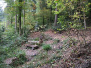 Blick nach Osten �ber die S�gem�nne (vorne) zum Sitzplatz - wird gerade von F�rster Friedmann umgebaut - am 10.10.2007