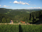 Blick nach Nordosten �ber den Salzhof  am 30.7.2007