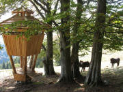 Blick nach S�den oberhalb des Engl�nderdenkmals am 22.9.2007