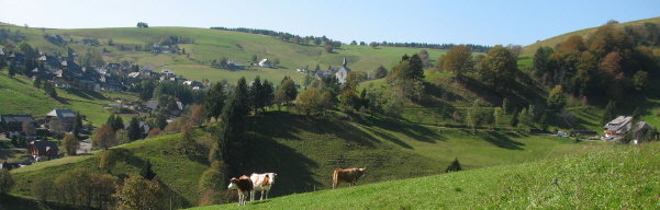 Blick vom Schniederlihof nach S�dwesten �ber Gegendrum auf Hofsgrund am 22.9.2007