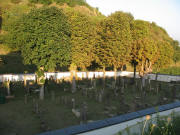 Blick nach S�dosten �ber den Ihringer J�dischen Friedhof am 13.9.2007 abends um 19 Uhr