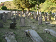 Blick nach Norden im Ihriger J�dischen Friedhof am 13.9.2007