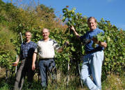 Weinlese Schelingen September 2007