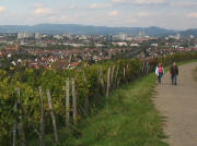 Blick nach Norden vom Weinberg ob St.Georgen auf Freiburg am 29.9.2007