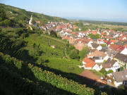 Blick vom Böselberg nach Osten auf Wasenweiler am 13.9.2007