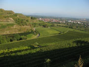 Blick von Wasenweiler ob St.Anton-Kapelle nach Osten bis B�tzingen am 13.9.2007