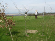 Blick am Gilgenstein ob Bamlach nach Norden zum Rhein am 17.4.2008