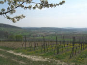 Blick vom H�ppberg nach S�den �ber Badh�fe bis Holzen am 17.4.2008