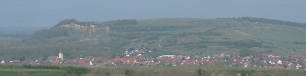 Tele-Blick vom Hermensberg oberhalb Leiselheim nach Nordwesten auf Sasbach am 24.4.2008