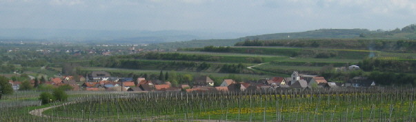 Blick vom Gestühl nach Nordosten über Leiselheim nach Königschaffhausen und Endingen am 24.4.2008