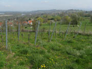 Blick nach Norden von Rheinweiler nach Bamlach und Bad Bellingen am 17.4.2008