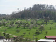 Blick nach Osten zu den Obstb�umen in Richtung Behlen und Hasenberg am 17.4.208