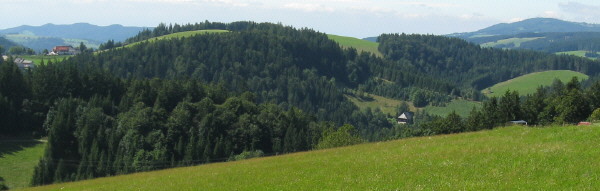 Blick vom Kohlplatz und Dominikhof (rechts rot) nach Norden �bers Wildgutachtal zu Neuh�usle, Hornberg, Saubur und Kandel (von links) am 25.8.2008