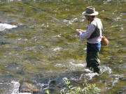 Angler in der Dreisam bei Ebnet am 18.8.2008
