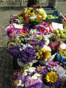Frau Erschig aus Eichstetten mit ihren wundersch�nen Blumen am 22.8.2008 auf dem M�nstermarkt