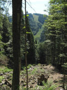 Blick von der Fahrstrasse zur Todtnauer H�tet nach S�den zum Fahler Loch am 6.8.2008
