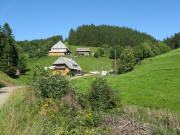 Blick nach Nordosten zum Oberen Heubachhof am 25.8.2008
